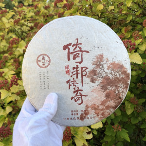 Шу пуэр Возникающий из волшебства 2019 года блин 357 г